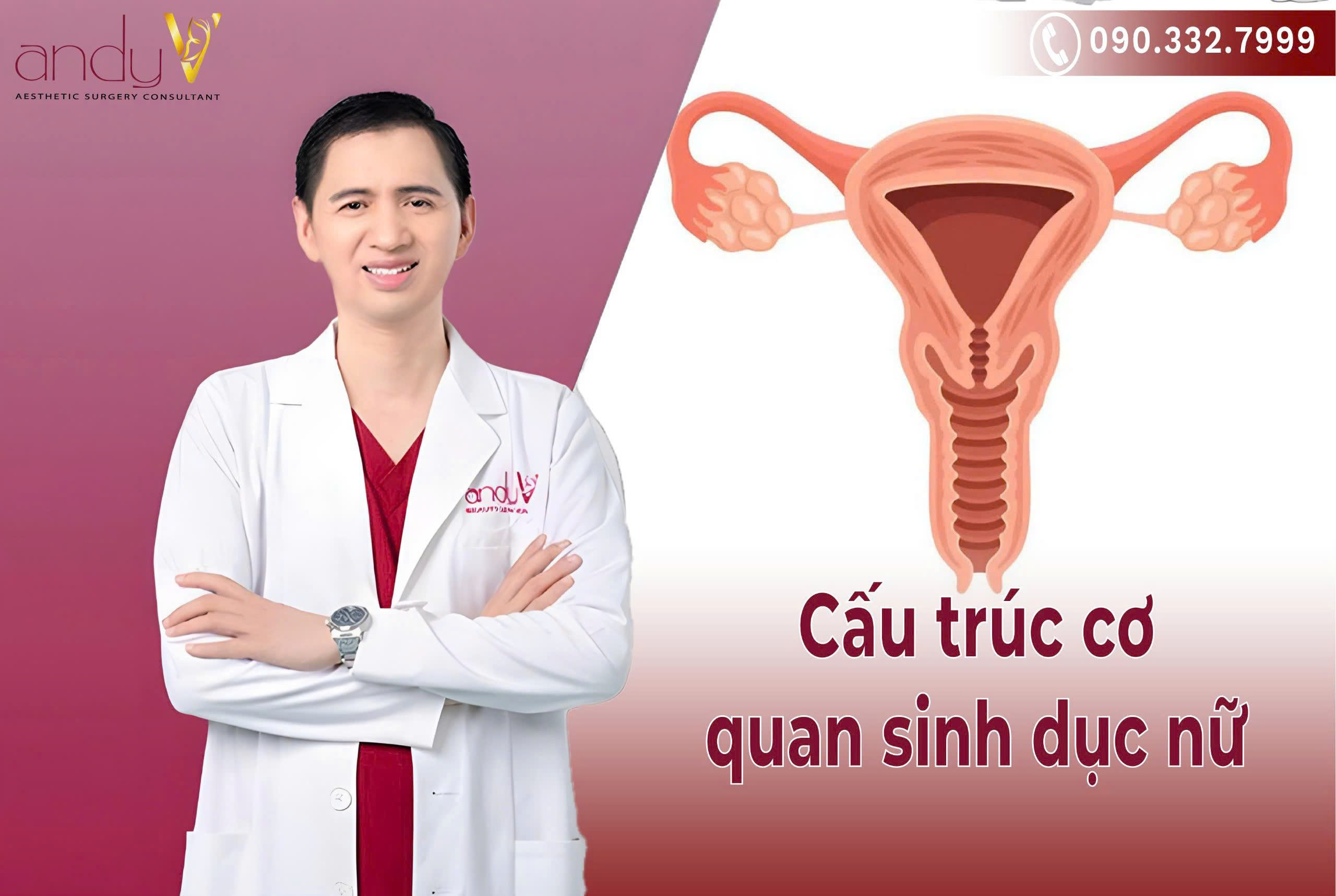 Cấu tạo cơ quan sinh dục nữ là một hệ thống phức tạp