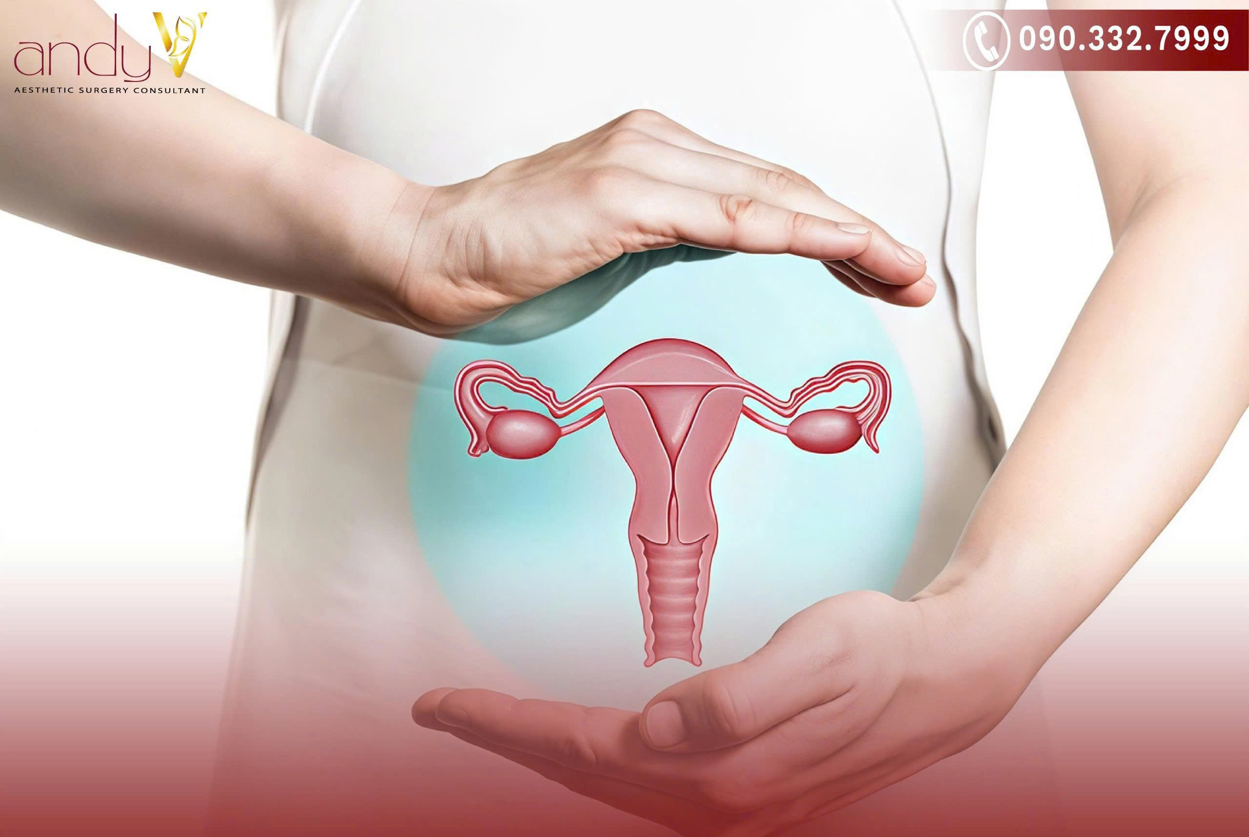 Chức năng của cơ quan sinh dục nữ là một hệ thống đa chức năng