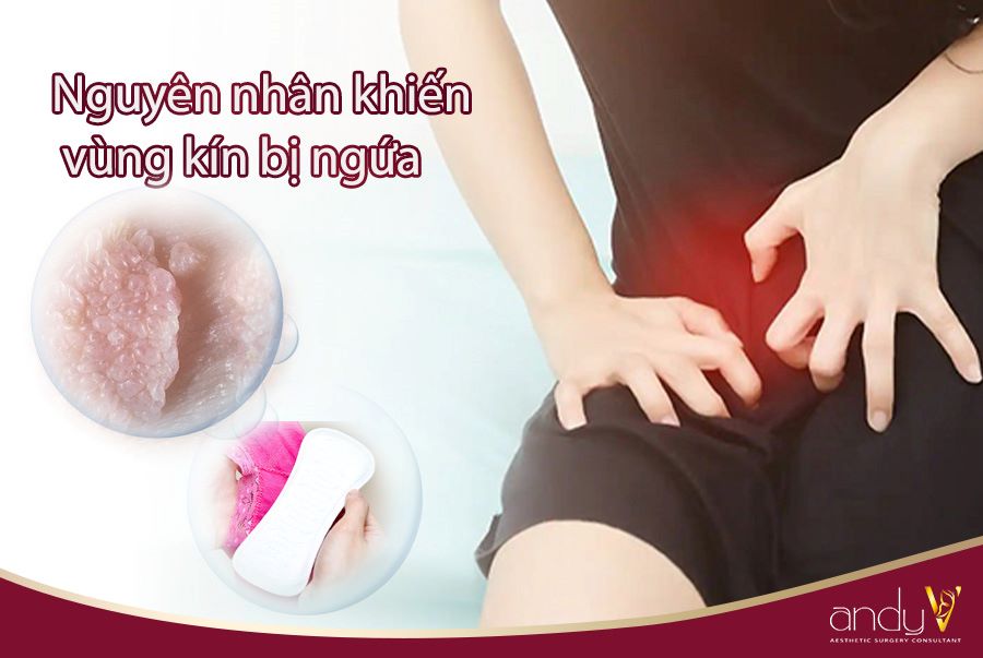 Nguyên nhân khiến vùng kín bị ngứa ở vùng kín nữ