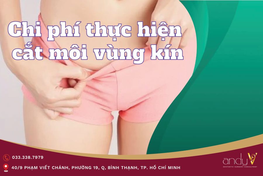 Chi phí thực hiện cắt môi vùng kín