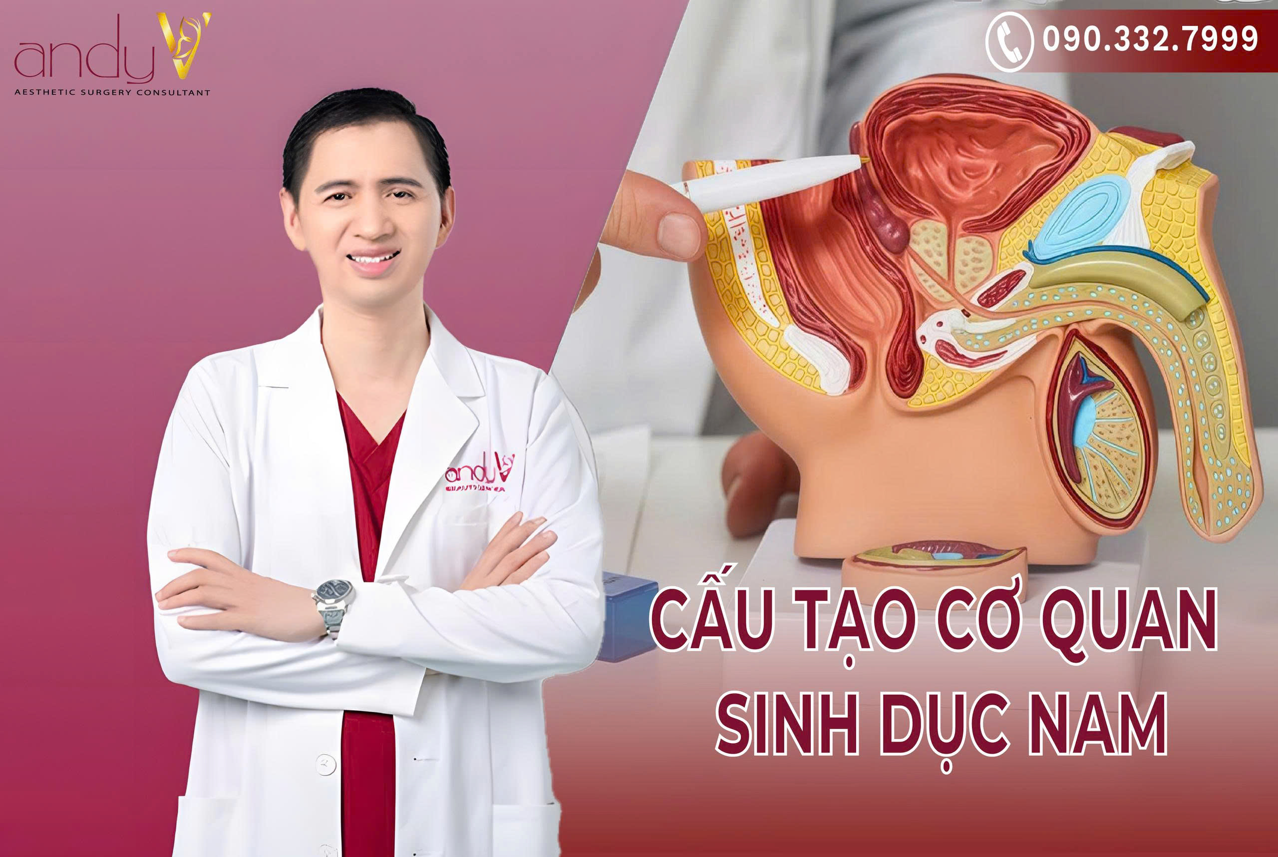 Cấu tạo hệ thống sinh sản nam giới có cấu tạo phức tạp