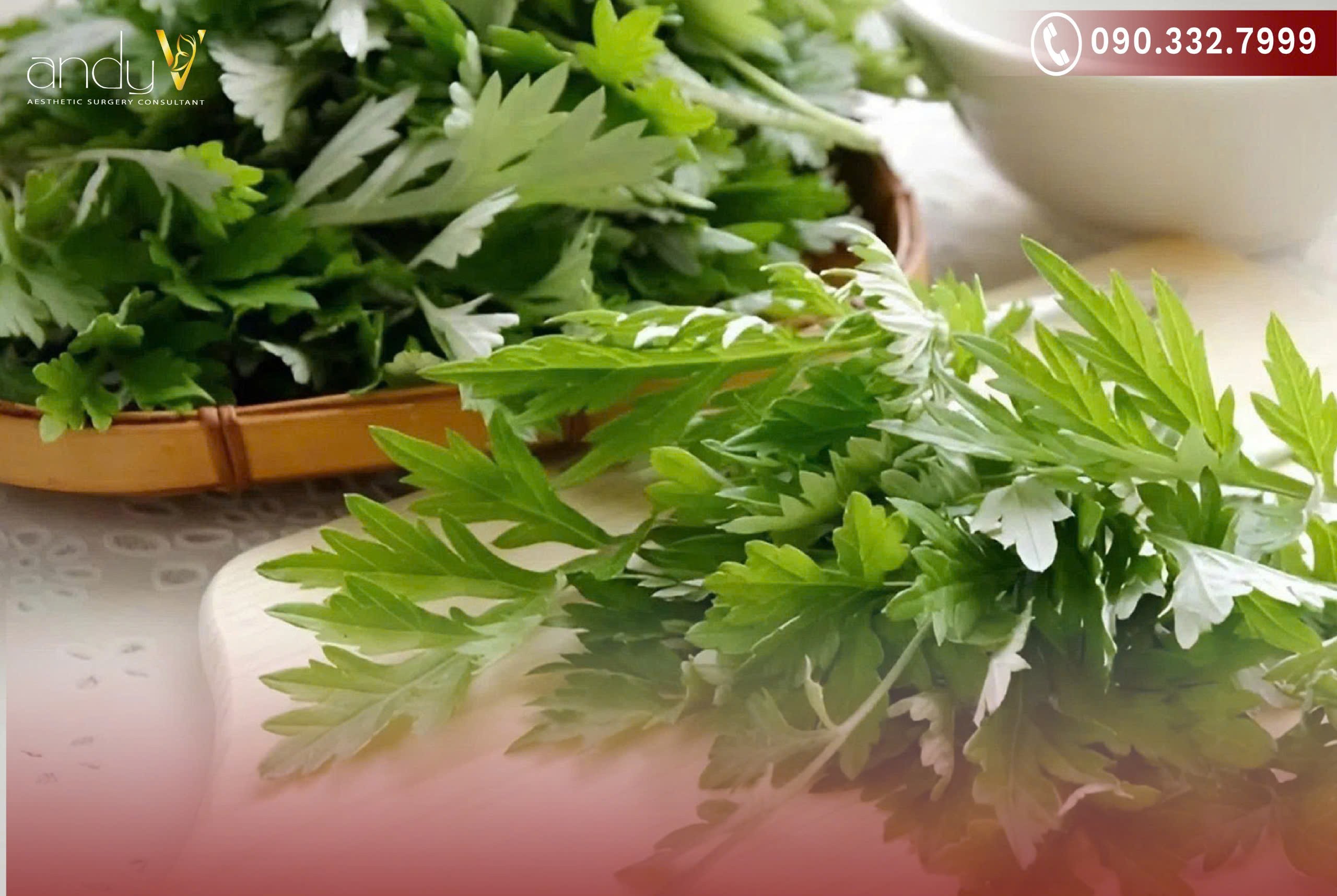 Ngải cứu giúp ôn kinh cầm máu và điều hòa khí huyết